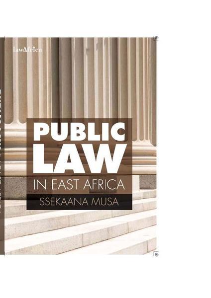Public Law in Africa eBook