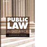 Public Law in Africa eBook