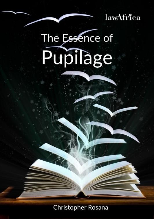 The Essence of Pupillage